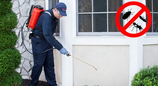 Çakmaklı Sivrisinek İlaçlama böcek ilaçlama ve haşere kontrolü — ilaclama-tr.com